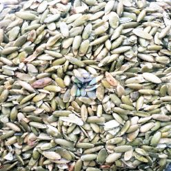 PEPITA VERDE SALADA 500 GRAMOS